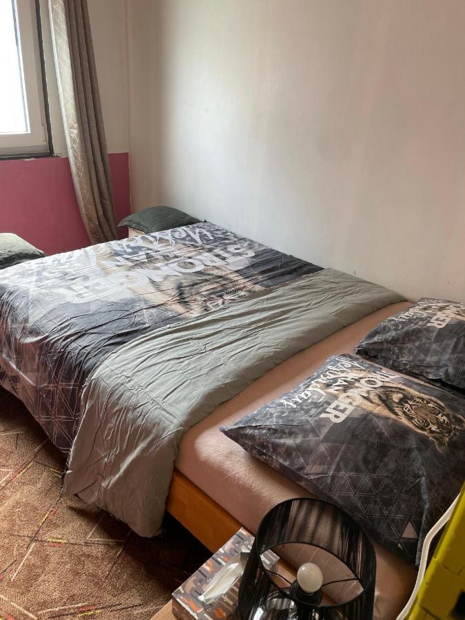 Bien-Etre-Au-Calme Et Parking Gratuit Villa Seraing Exterior photo